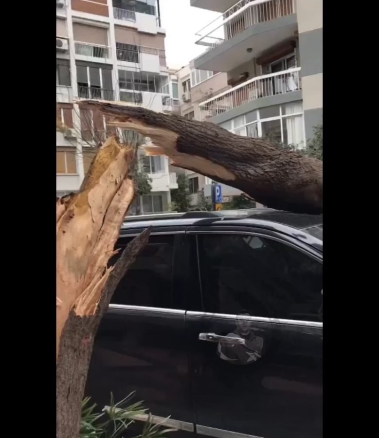 İzmir’de fırtınadan çatılar uçtu ağaçlar araçların üstüne devrildi! - Resim : 7