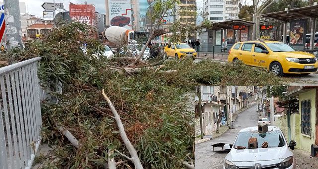 İzmir’de fırtınadan çatılar uçtu ağaçlar araçların üstüne devrildi! - Resim : 2